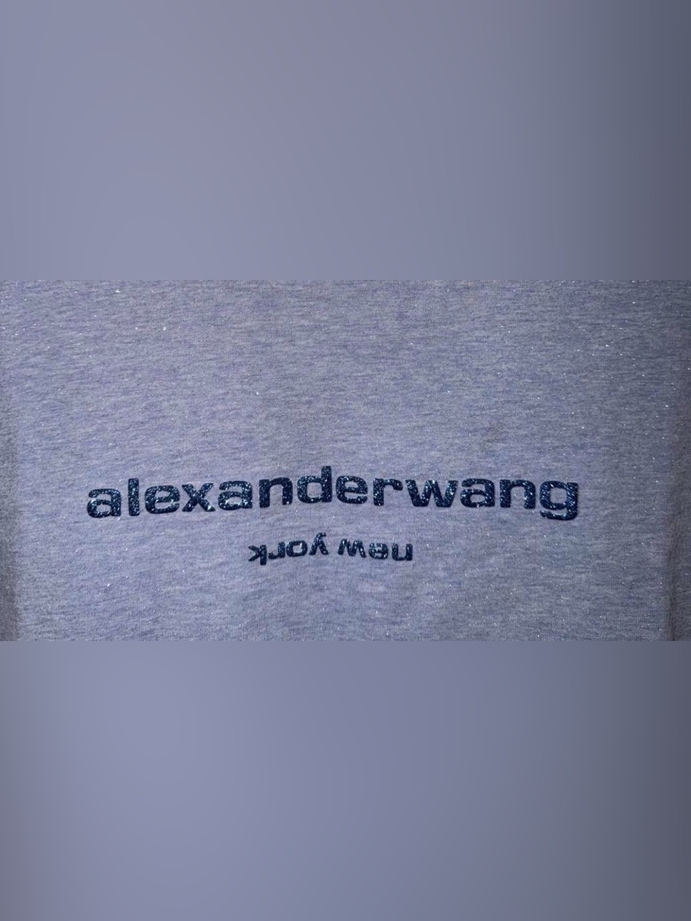 Alexander Wang Gray Blue Glitter Logo Short Sleeve Tee Shirt Size S View 2